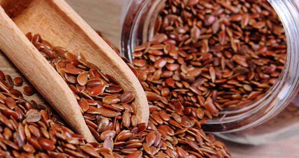 रोज सुबह खाली पेट खाएं अलसी, पाचन तंत्र मजबूत से लेकर मोटापा तक होगा कम, जानें खाने का सही तरीका