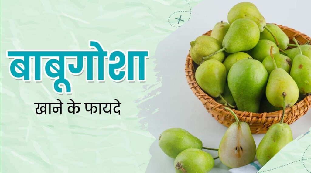 बारिश के मौसम का खास फल है बाबूगोशा, जानें खाने के अनेक फायदे