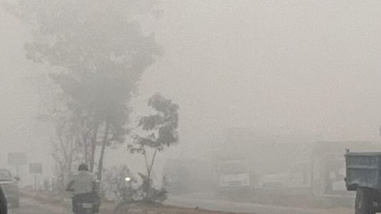 देश के कई हिस्सों में बढ़ी ठंड, मध्य प्रदेश समेत कई राज्यों में अलर्ट, 10 राज्यों में कोहरे की चेतावनी