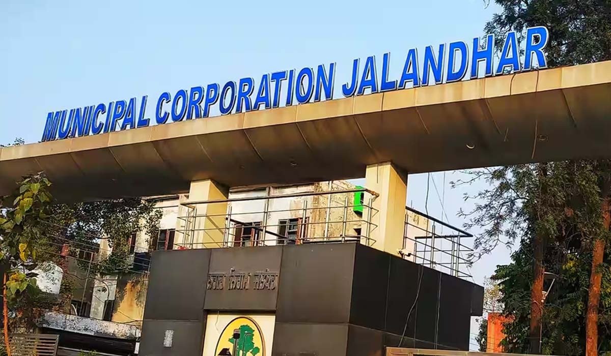 Jalandhar News: जालंधर नगर निगम में 1196 पदों पर भर्ती; इस तारीख से शुरू होगा आवेदन