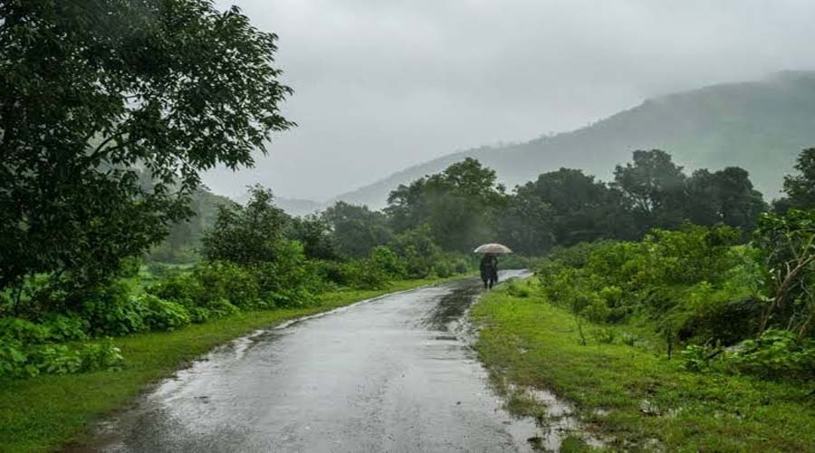 मानसून में क्यों बढ़ जाती है चाय-पकौड़े की क्रेविंग? जानिए इसके पीछे की वजह Rainy Season