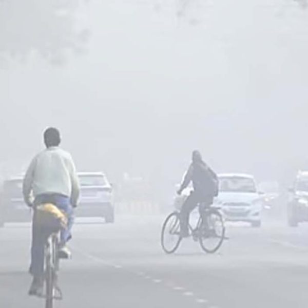 पंजाब में कड़ाके की ठंड के बीच घने कोहरे की चेतावनी, 12 जिलों में अलर्ट जारी