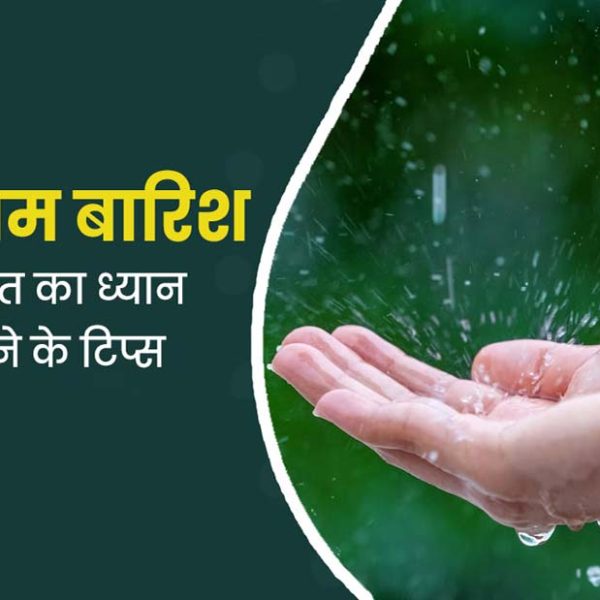 बारिश के मौसम में पानी जमा होने से हो सकती है कई बीमारियां, जानें कैसे करें स्किन की देखभाल
